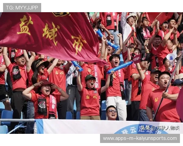 球迷文化建设是否纳入联赛规划，球迷协会属于什么社会群体